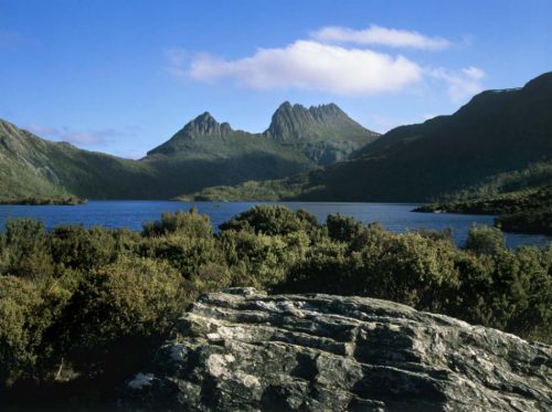 Siamo a Crodle Mountain, in centro Tasmania, è la vetta più alta con i suoi 1500 metri