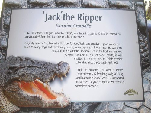  Il cartello di Jack fuori dalla sua gabbia. Un coccodrillo vive 80-100 anni e nella sua vita cambia i denti circa 40 volte. Sapete come muore? Di fame, perchè non gli crescono più i denti!