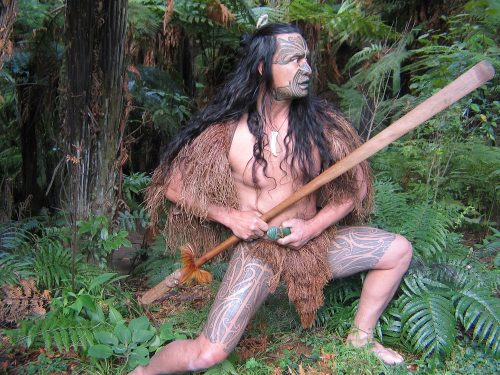 I Maori arrivarono in Nuova Zelanda dalle isole della Polinesia intorno al 1200 dC. Avevano viaggiato per migliaia di chilometri su canoe a doppio scafo orientandosi grazie alle stelle e al volo degli uccelli