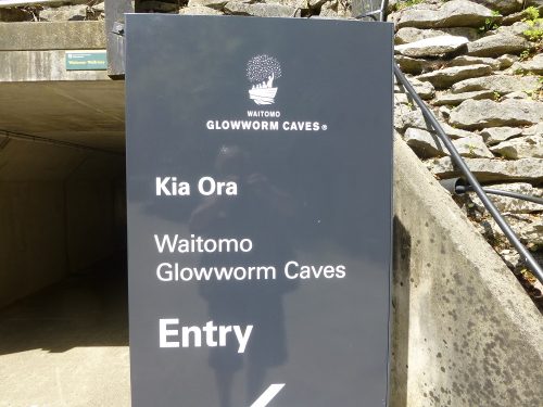 Siamo a Waitomo Caves, un centinaio di chilometri da Rotorua (centro NZ), sempre in terra Maori